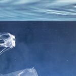 Plastic Waste in Ocean